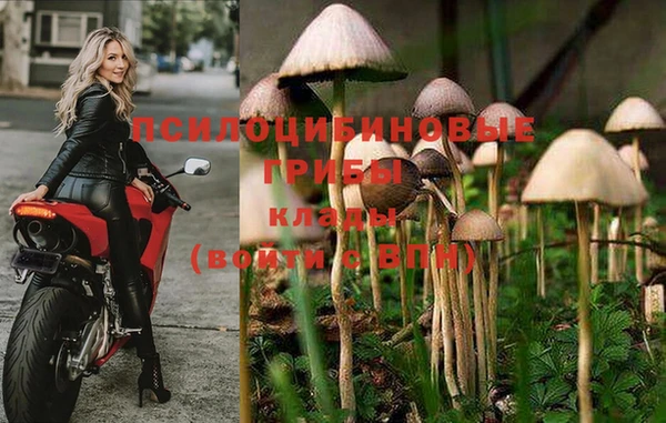 spice Михайлов