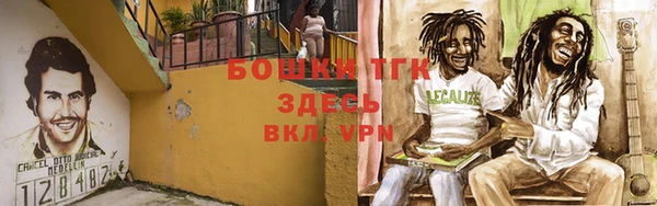 стаф Михайловск