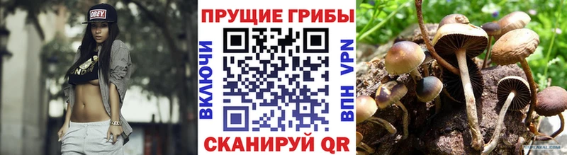 как найти закладки  Екатеринбург  Галлюциногенные грибы MAGIC MUSHROOMS 