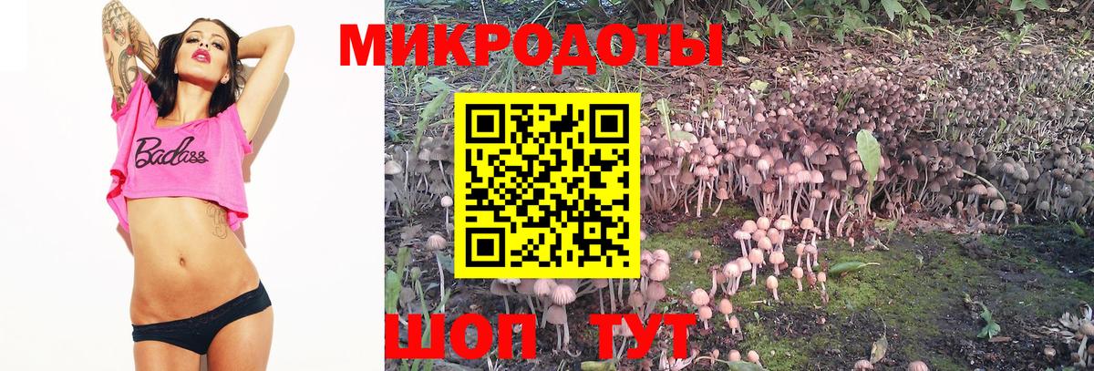 Екатеринбург  Галлюциногенные грибы прущие грибы  Вход с VPN 
