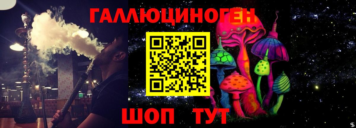 Галлюциногенные грибы прущие грибы Екатеринбург